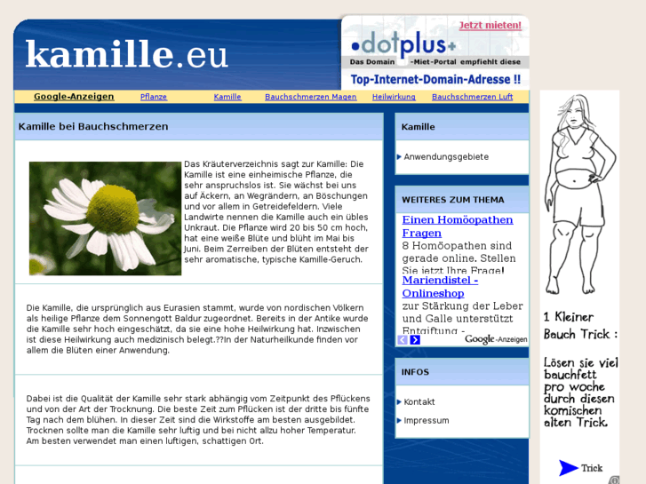 www.kamille.eu