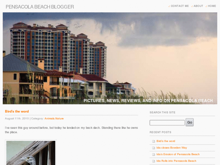 www.pensacolabeachblogger.com