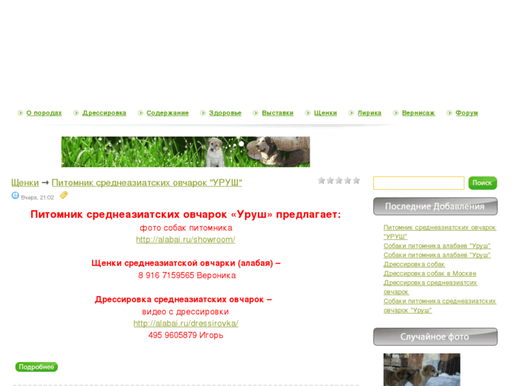 www.alabai.ru