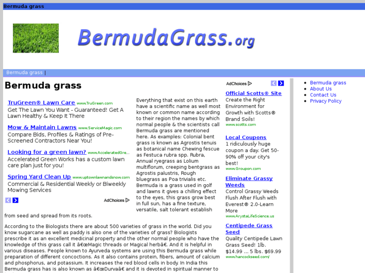 www.bermudagrass.org