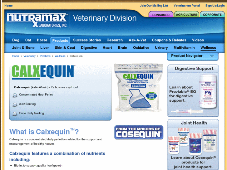 www.calxequin.com