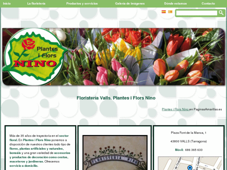 www.floristerianino.com