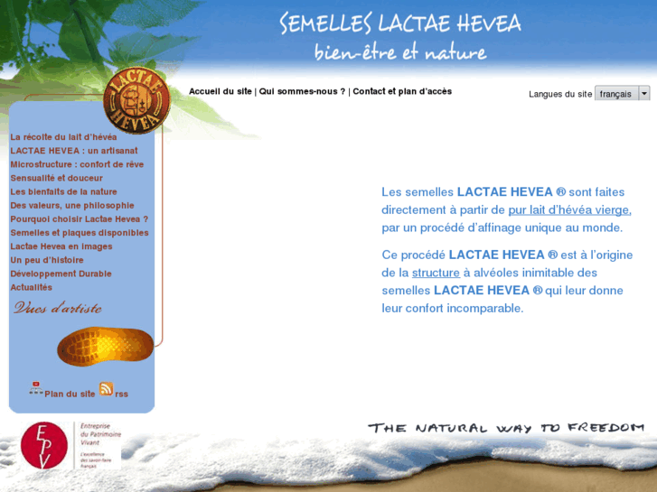 www.lactae-hevea.com