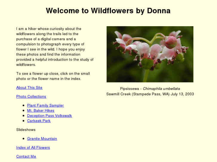 www.wildflowersbydonna.com