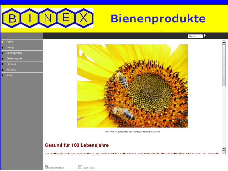 www.binex-shop.com