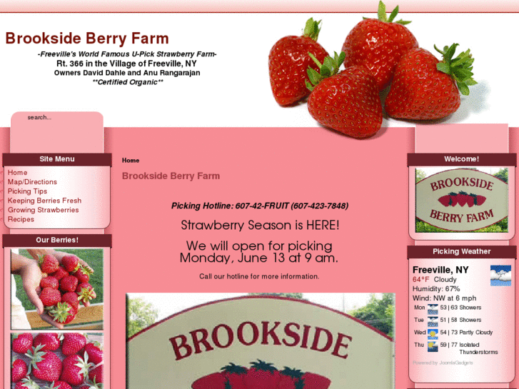 www.brooksideberryfarm.com