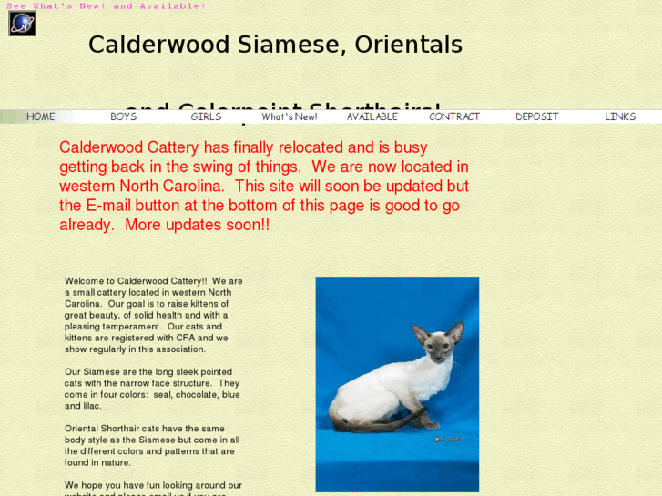 www.calderwoodsiamese.com