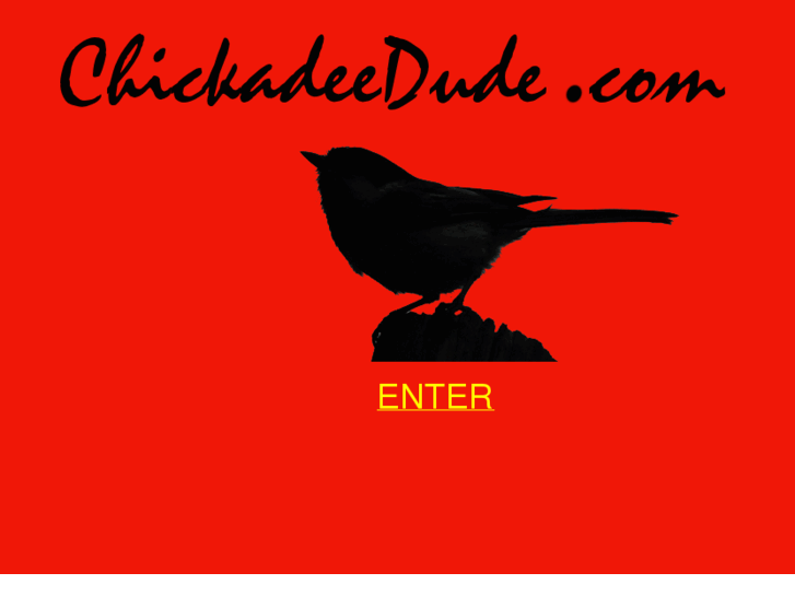 www.chickadeedude.com