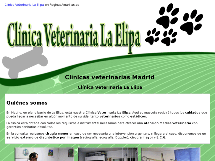 www.clinicaveterinarialaelipa.com