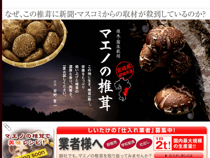 www.maeno-kinoko.com