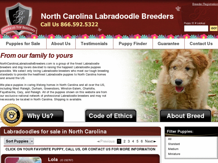 www.northcarolinalabradoodlebreeders.com