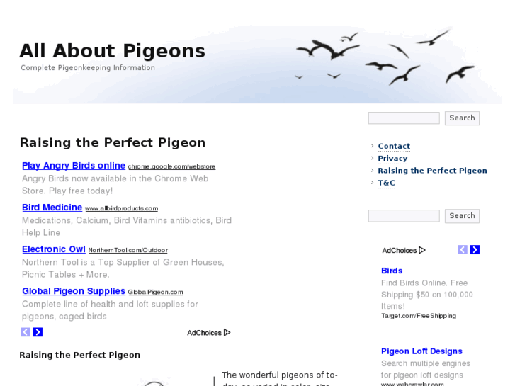 www.pigeonkeeper.info