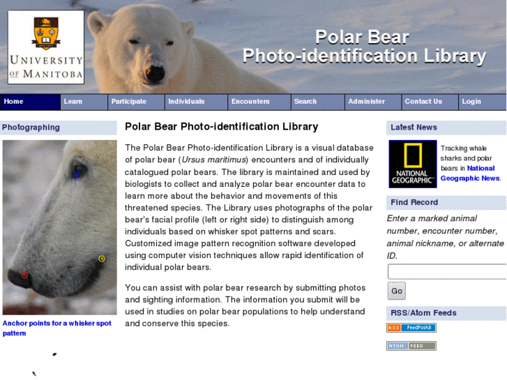 www.polarbearlibrary.org