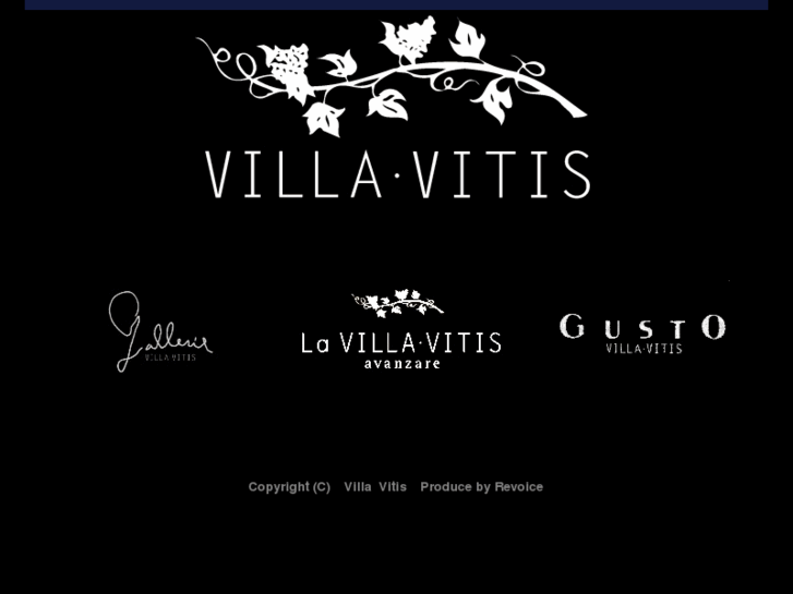 www.villavitis.net