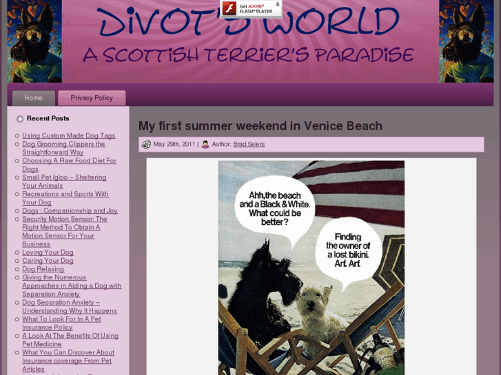 www.divotsworld.com