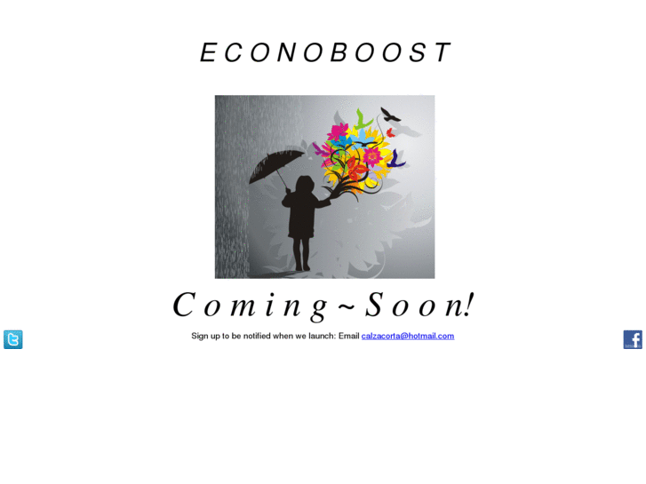 www.econoboost.com