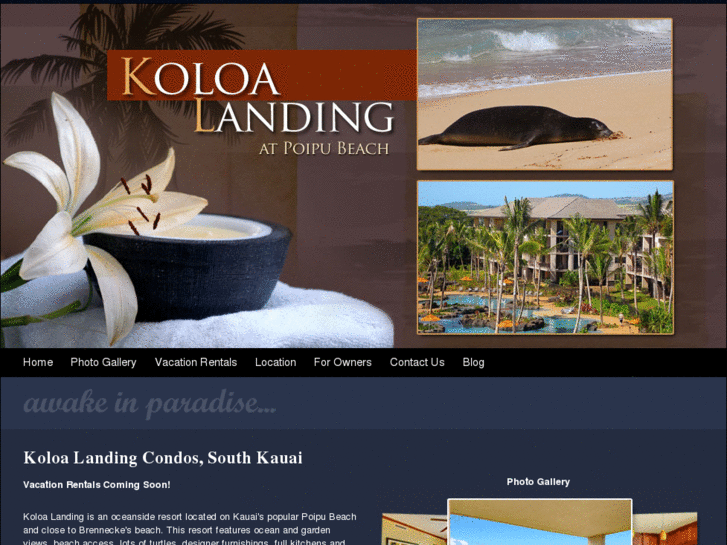 www.koloalandingrentals.com