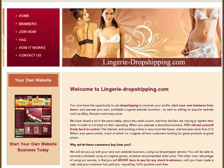 www.lingerie-dropshipping.com