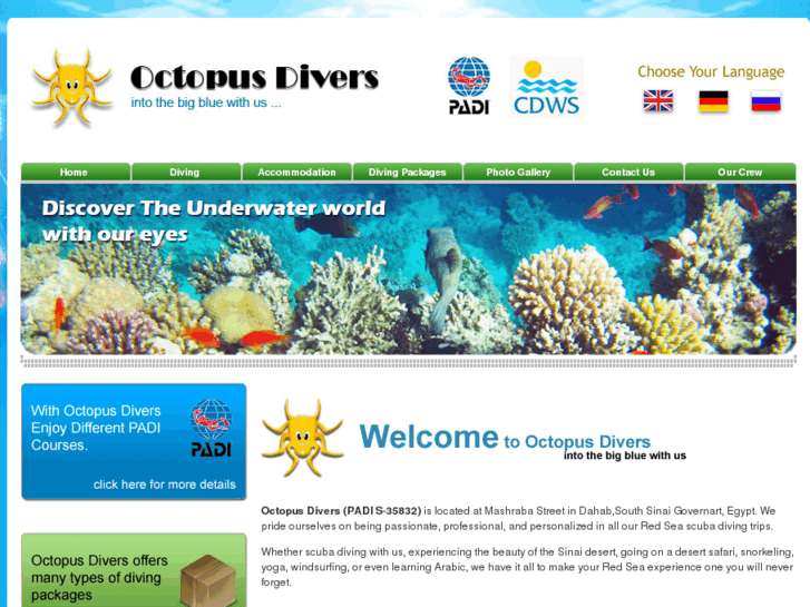 www.octopus-divers.net