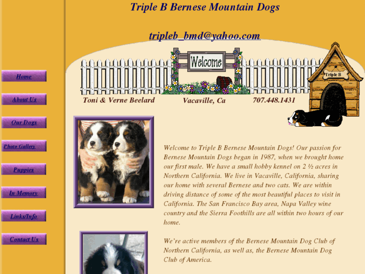 www.triplebbernese.com