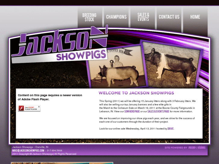 www.jacksonshowpigs.com