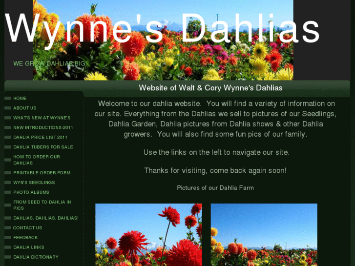 www.wynnesdahlias.com