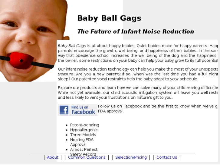 www.babyballgags.com