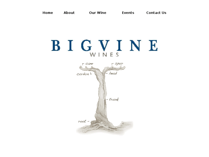 www.bigvinewine.com