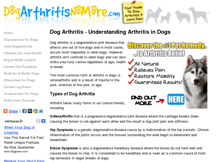 www.dogarthritisnomore.com