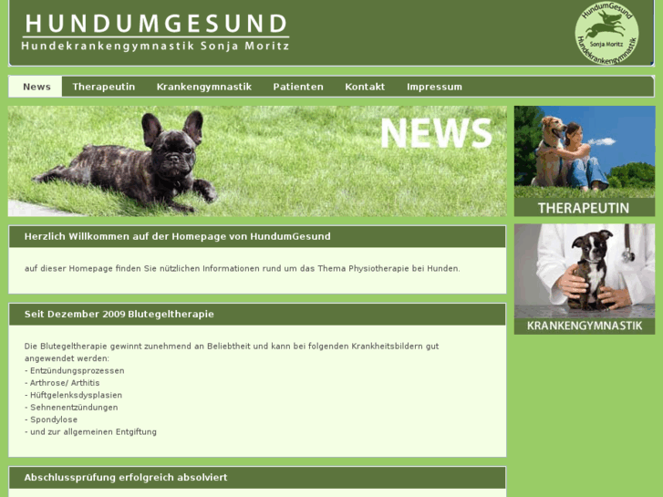 www.hundumgesund.com