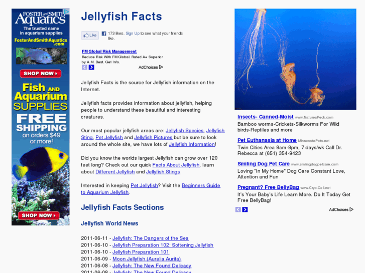 www.jellyfishfacts.com