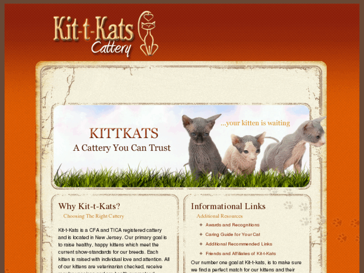 www.kittkats.com