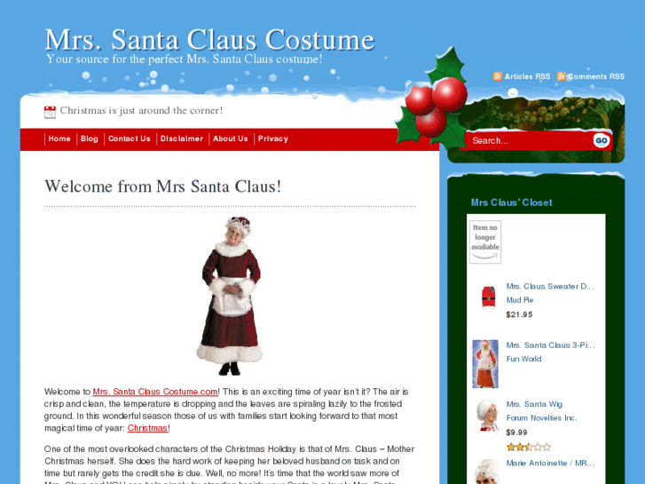 www.mrssantaclauscostume.com