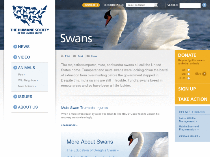 www.protectswans.com