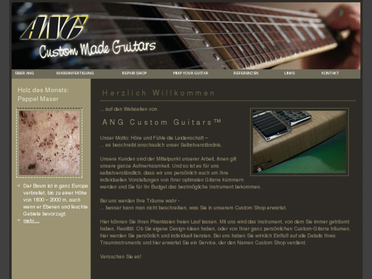 www.ang-guitars.com