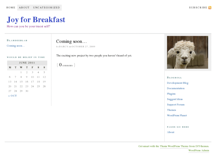 www.joyforbreakfast.com