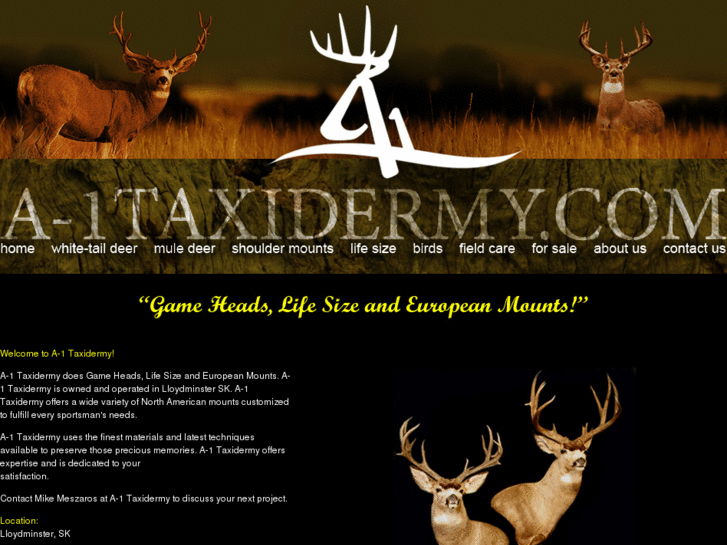 www.a-1taxidermy.com