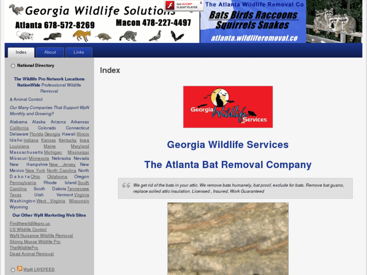 www.atlantabatremoval.us