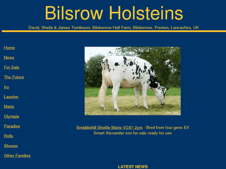 www.bilsrowholsteins.com