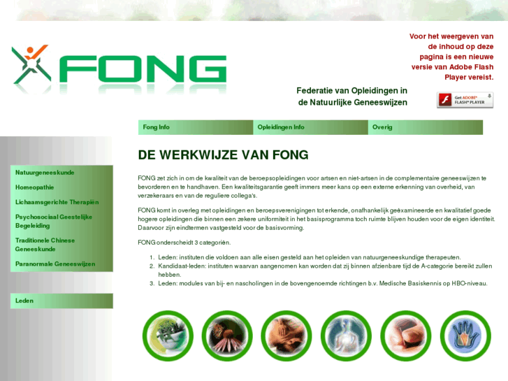 www.fong.nl