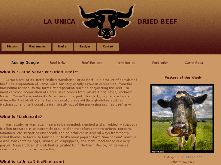 www.launicadriedbeef.com