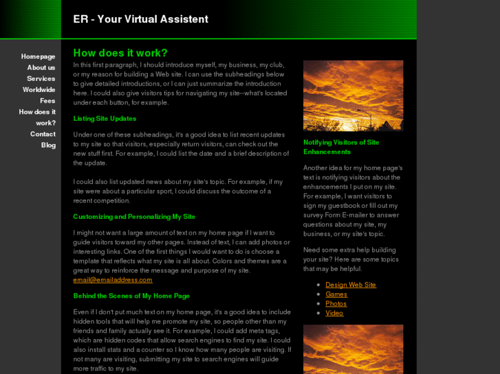 www.virtual-project-management.net