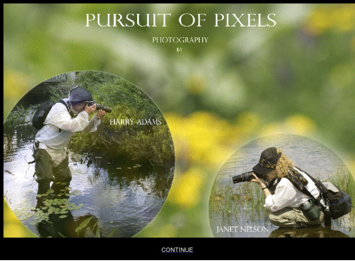 www.pursuitofpixels.com