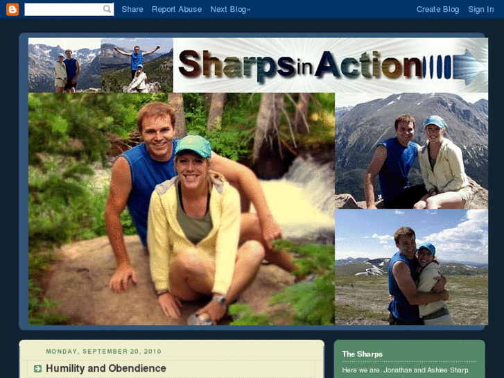 www.sharpsinaction.com