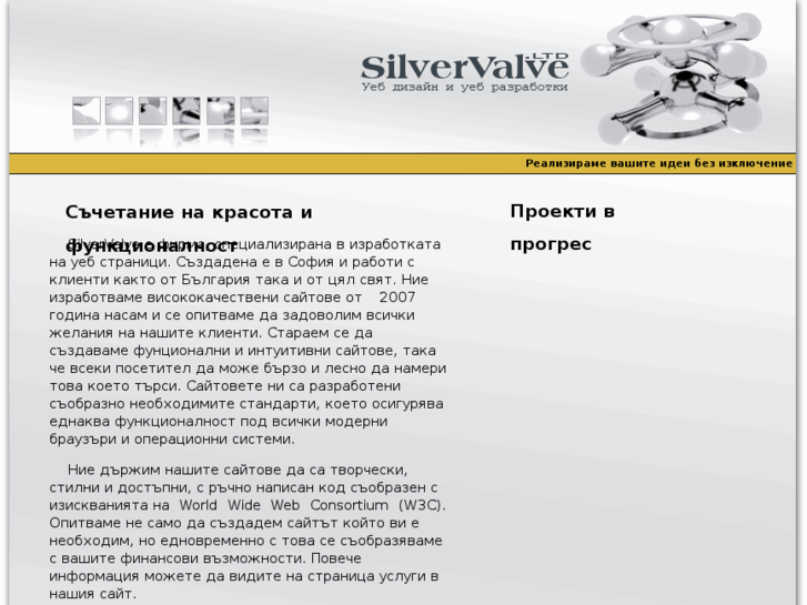 www.silvervalve.com