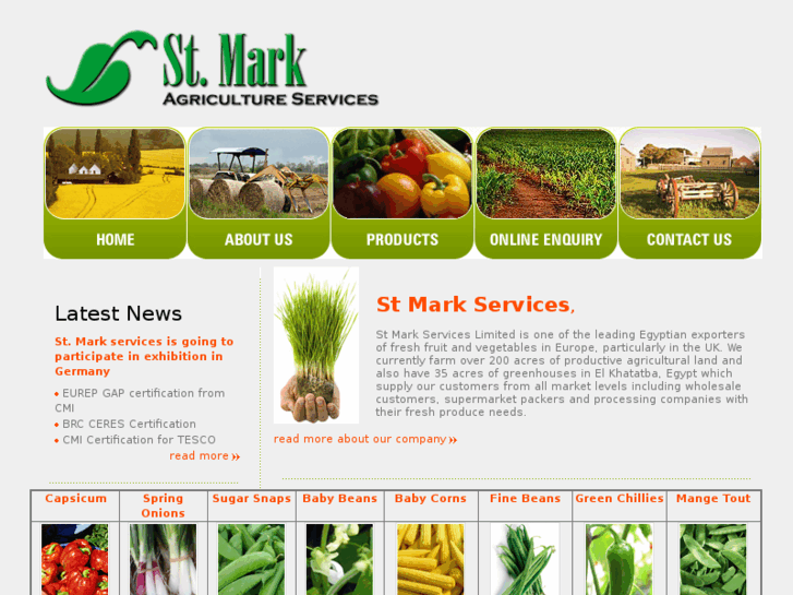 www.stmark-egypt.com
