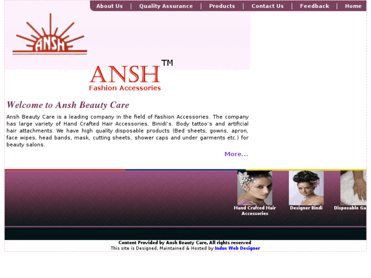 www.anshindia.com