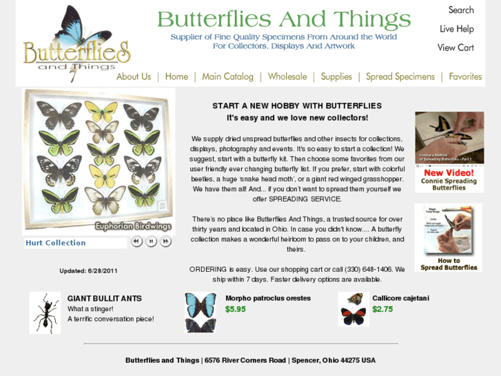 www.butterfliesandthings.com