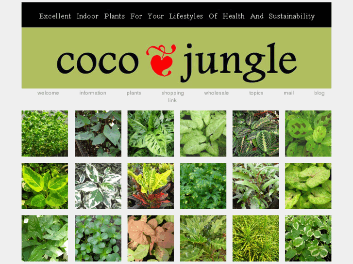 www.coco-jungle.com