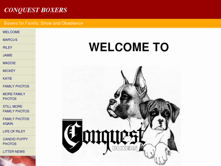 www.conquestboxers.com